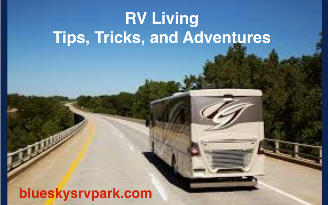 Unusual Reasons For Full Time RVing